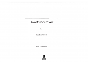 Duck for Cover image